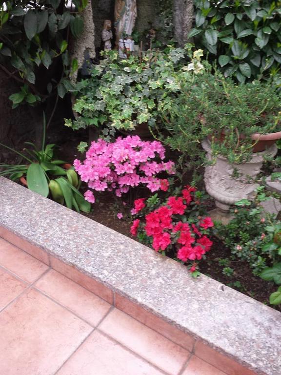 Hotel Renato Sesto San Giovanni Dış mekan fotoğraf