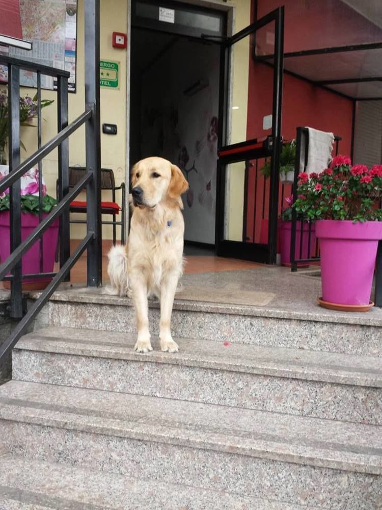 Hotel Renato Sesto San Giovanni Dış mekan fotoğraf